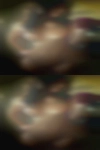 NaughtyJordy40, 